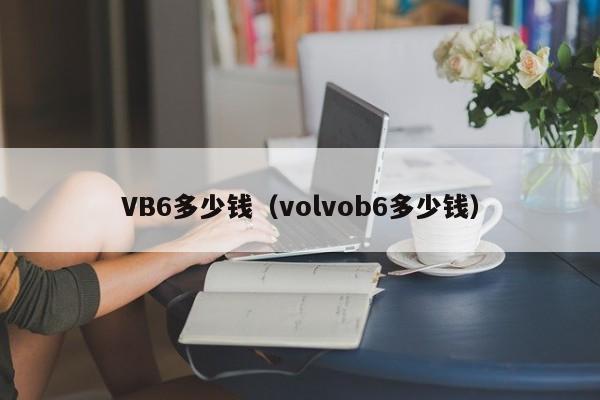 VB6多少钱（volvob6多少钱）